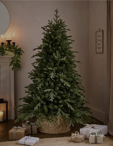6ft george home - warren, fir