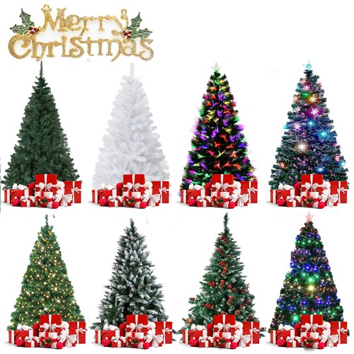 Christmas tree bushy - christmas,