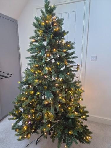The ultra devonshire fir - the,