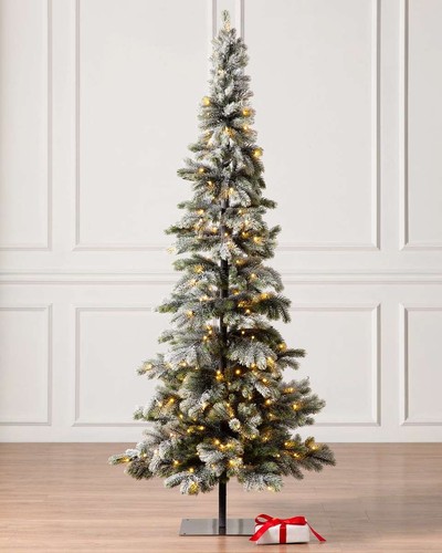 Christmas tree balsam - balsam, hill