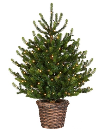 Pre lit potted christmas tree - pre-lit,
