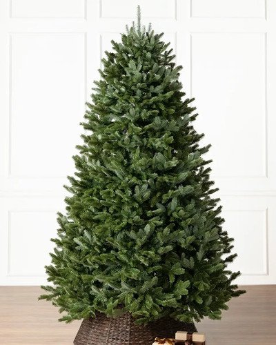Balsam hill christmas - balsam,