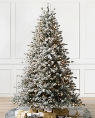 Christmas tree balsam - tree,